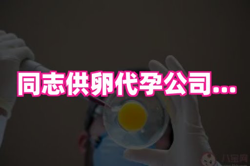 长沙助孕网 1